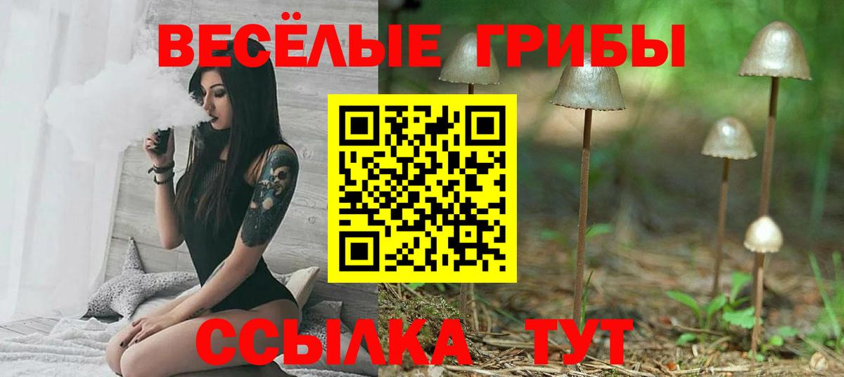 Галлюциногенные грибы Magic Shrooms Кызыл